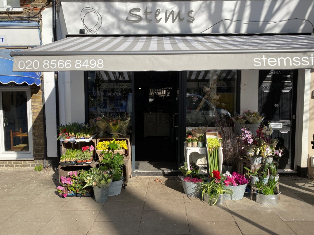 Pitshanger Lane, Ealing, Shop